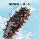 Dalian frozen ready-to-eat sea cucumbers made in Tokyo, net weight 2kg, 32-40 pieces, Liao sea cucumber mass sales gift box