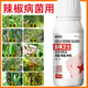Gengfengwang pepper special agent, pepper disease medicine, gray mold early and late blight, wilt, downy mildew virus disease, pepper medicine 500ml (30 acres)