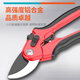 Prund pruning scissors, fruit tree scissors, gardening scissors, potting scissors, flower tools, garden green plant scissors, floral manual scissors, 8-inch SK5 steel pruning shears, non-slip handle