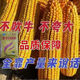 Wholesale corn seeds, short stems, double stems, drought and waterlogging resistance, disease resistance and lodging resistance, Academy of Agricultural Sciences National Approval, Jingke 968-4000 grains, one acre of land
