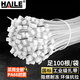HAILE尼龙扎带捆扎绑扎带扎线理线束线带自锁式扎带4.6*250mm 中号白色100根ZD-25-100