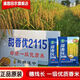 Nationally approved Tianxiangyou 2115 high-yielding hybrid rice seed, first-class rice quality, beautiful fragrance, long-grain, fragrant rice, delicious first-class rice, Tianxiangyou 2115 1Jin Jin is equal to 0.5 kilograms
