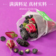 Ming Wan Mu Mu Berry Rose Tea [Compre 2 obtenga 1 caja en 72 paquetes en total] Black Fruit Wolfberry temprano C tardío A LA STAY RATURA Bag Late Health Care Bag [120g (24 paquetes)/caja] [Lleno de antocianinas]