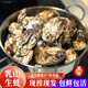 Shuhuang Rushan Oysters Fresh Large Seafood New Year Products 5Jin Jin is equal to 0.5kg, net weight 5XL (8-12 pcs), only shipped directly from the source, free shipping