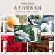 Ou Liqi Natural Fragrance Hand Cream Moisturizing, Refreshing and Non-greasy Autumn and Winter Anti-Drying and Freeze-Cracked Skin Hand Cream Natural Forest Fragrance Hand Cream Camellia 80g