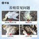 Chinese livestock pigs, fattening pigs, fattening animals, fattening treasure pigs, cattle and sheep, attracting food, promoting growth, piglet premix, poultry, fattening king