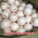 Foam floating ball float round plastic pull cage offshore buoyancy ball buoy water culture fishing net buoy 10 cm floating ball 10 pieces