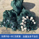 Yuxige Plus Bottom Pocket Weighted Thick Pull Net Fishing Net Trawl Net Fish Pond Separator Fish Net Fish Net Pull Net Trawl Net Plus Net Bag 2 meters high 10 meters long 2 fingers 9 strands plus bottom pocket