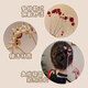 Commemorating the joy of two generations, tassel U-shaped hairpin for women, new Chinese-style cheongsam hairpin, hairpin, artifact, toast attire, bridal headdress, rose red bead tassel hairpin