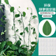 Green garden craftsman green dill climbing wall fixed artifact green plant vine man plant nail-free wall-mounted self-adhesive hook climbing clip 24 pieces