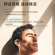 森海塞尔（Sennheiser）IE600专业HIFI入耳  SE846 榭兰图    IE900官方正品 IE600+飞傲掌上台放Q15（黑或灰