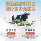 Peking Tongrentang Immunglobulin Rinder Kolostarch -Pulverkapseln verbessern die Immunität und Resistenzstudenten regulieren den Darmtrakt 3 -Boxen [zufällig mit einer neuen und alten Verpackung gesendet]