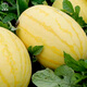 Dayu Yellow Heart Watermelon Seeds, Early Maturity, Yellow Skin, Red Flesh, Yellow Flesh, Special Xiaofeng Watermelon Seeds, Southern Fruit, Golden Beauty Watermelon Seeds, 100 Yellow Skin, Yellow Flesh