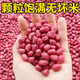 Sowing Mood Four Red Peanut Seeds High Yield Thin-shell Red-skinned Black Peanut Rice Seed Juluhua No. 8 Large Fruit White Sand National Approval National Approval > Four red peanuts original unpacked 100 pieces