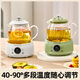 Luoya Health Pot Full Glass Stewing Kettle Electric Ceramic Stove Tea Kettle Tea Kettle 1.2L Office Tea Kettle Split Constant Temperature Kettle Boil Kettle Tea Kettle Boil Kettle Nordic Green (Tea Leaking Style) 1.2L