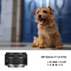 Canon small spittoon rf50f1.8 Canon r50 small spittoon portrait lens rf28f2.8 stm portrait biscuit head special micro full frame standard fixed focus lens RF 50mm F1.8 STM package one