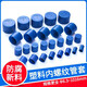 Sailotou customized stainless steel pipe mouth plastic protective sleeve corrosion-resistant dust-proof thread cap blue rubber plug custom thread GT-25010 pcs