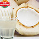 Goodnon Thai Coconut Green Fresh Coconut 9 Original Boxes Seasonal Fruit Imported Coconut Perfume Yeqing Free Coconut Opener 9 Whole Boxes (Single Fruit 750g or More)