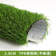 森柯仿真草坪地毯人造草坪绿色塑料装饰人工草皮工程围挡户外足球铺垫 2厘米TPR防水不掉渣款 1米宽*1米长