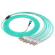 胜为光纤跳线MPO-LC12芯 30米 网线多模OM4万兆40G光模块集束光纤 MPO-LC/12芯  胜为 光纤跳线 MPO-LC MPO-LC/12芯 3米 FMPL-1203