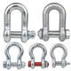 Xiaocai American bow shackle, D-shaped shackle, U-shaped shackle, hoof buckle with nut, lifting ring, hook buckle, bow buckle with nut, 9 points, 5 tons