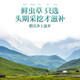 
Fudonghai Cordyceps gift box [Excellent quality whole piece] Select high-altitude freeze-dried high-clean and unbroken grass to give gifts. 10 fresh Cordyceps (freshly harvested and cold chain shipped)