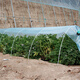 Beishu insect-proof net, vegetable growing net cover, vegetable field arch shed protective net, vegetable shed plastic film and bracket insulation film to prevent cold, grow vegetables to prevent cold and thickened arch shed film, 2 meters wide * 5 meters long + 10 support poles