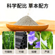Old Beijing Foot Patch Foot Care Moxibustion Mugwort Mugwort Sole Sleeping Acupoint Patch Warming Foot Warming Patch Old Beijing Foot Patch 10 Patch