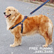 Huanpet.com dog leash, dog leash, dog harness, dog walking leash, dog chain harness, pet large and small dog puppy