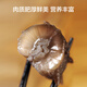 Dalian frozen ready-to-eat sea cucumbers made in Tokyo, net weight 2kg, 32-40 pieces, Liao sea cucumber mass sales gift box