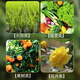 Huaneng calcium, magnesium, iron, zinc, boron, medium and trace elements, foliar fertilizer, water-soluble fertilizer, rooting and seedling fertilization, spraying for fruit trees and vegetables