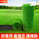 Qingya lawn simulation carpet artificial fake turf outdoor bedding kindergarten green artificial floor mat plastic grass decoration 3cm encrypted version (2m wide x 1m long)