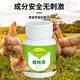 Lianyang Craftsman hen nesting wake-up quick-acting wake-up spirit prevents hens from hatching and nesting nest spirit Muscovy duck nest wake-up feed additives wake-up spirit 100 tablets/bottle