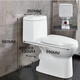 Household flush toilet rear flush wall toilet deodorant silent water saving rear water outlet bathroom bathroom wall toilet + angle valve + hose + raw tape + drain other / other