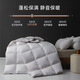 高档家纺床品白鹅绒羽绒被芯冬季加厚保暖羽毛被子家用宿舍双人被 鹅绒被/白色 150*200cm【6斤】