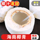Tanweijun Hainan Coconut Green Fresh Coconut Pregnant Women Fruit Large Fruit Coconut Emperor Peeled Coconut Water Whole Box 2 Single Fruit 950g ~1050g