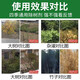 Big tree rotten root powder, powerful tree removal powder, cyclozinone herbicide, big tree dead removal, bamboo rotten root corrosive, three barrels, buy two, get one free, 500g, 3 barrels