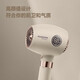 FLYCO hair dryer foldable negative ion hair care student dormitory high-power home barber shop hotel hair dryer FH6369 1600W lotus root pink temperature adjustable display