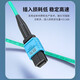 胜为光纤跳线MPO-LC12芯 30米 网线多模OM4万兆40G光模块集束光纤 MPO-LC/12芯  胜为 光纤跳线 MPO-LC MPO-LC/12芯 3米 FMPL-1203