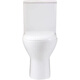 Household flush toilet rear flush wall toilet deodorant silent water saving rear water outlet bathroom bathroom wall toilet + angle valve + hose + raw tape + drain other / other