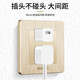 International electrician concealed type 86 switch socket home living room two-open dual-control wall power panel brushed gold 16A three-hole high-power water heater air conditioner wall plug five-hole socket