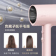 Midea Hair Dryer Home Portable Hair Dryer High Power Negative Ion Constant Temperature Hair Care Does Not Hurt Hair Hair Dryer Student Dormitory Hotel Available Holiday Birthday Gift 1600W Quick Drying 50 Million Negative Ions - Xiwu Powder