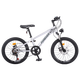 FOREVER (FOREVER) children's bicycles, boys and girls, children's bicycles, 22-inch bicycles, 7-speed silver