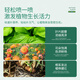 Stanley dilution-free nutrient solution for plants, general-purpose money tree, rich bamboo, flower and green plant fertilizer, special flower fertilizer 250ml