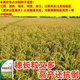 Nationally approved high-yielding hybrid rice rookie (Fengliangyouhuazhan) seed silk seedlings are resistant to high temperatures, lodging and disease resistance. The institute’s new product Fengliangyouhuazhan 1Jin Jin is equal to 0.5kg x1 bag