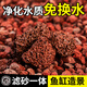 Volcanic stone granular filter material ancient fish tank landscaping bottom sand decoration turtle natural water grass mud succulent base soil special grade finely screened volcanic stone 10-20 cm 19-20 Jin Jin equals 0.5 kg