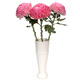 Graceful and luxurious, 3 branches of color-absorbing peonies and chrysanthemums