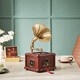 Canna retro mini CD gramophone European bluetooth hifi speaker old antique home CD player living room ornaments simulation vinyl record player D99 birthday gift D99PRO version walnut color + charge and plug dual-use + (10 CD discs)