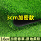 Qingya lawn simulation carpet artificial fake turf outdoor bedding kindergarten green artificial floor mat plastic grass decoration 3cm encrypted version (2m wide x 1m long)