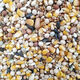 New pigeon food nutrition contains corn 10kg bird food homing pigeon white adult young pigeon ornamental pigeon food without corn pigeon food 3Jin Jin is equal to 0.5 kg